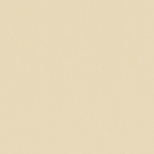 Palette Beige